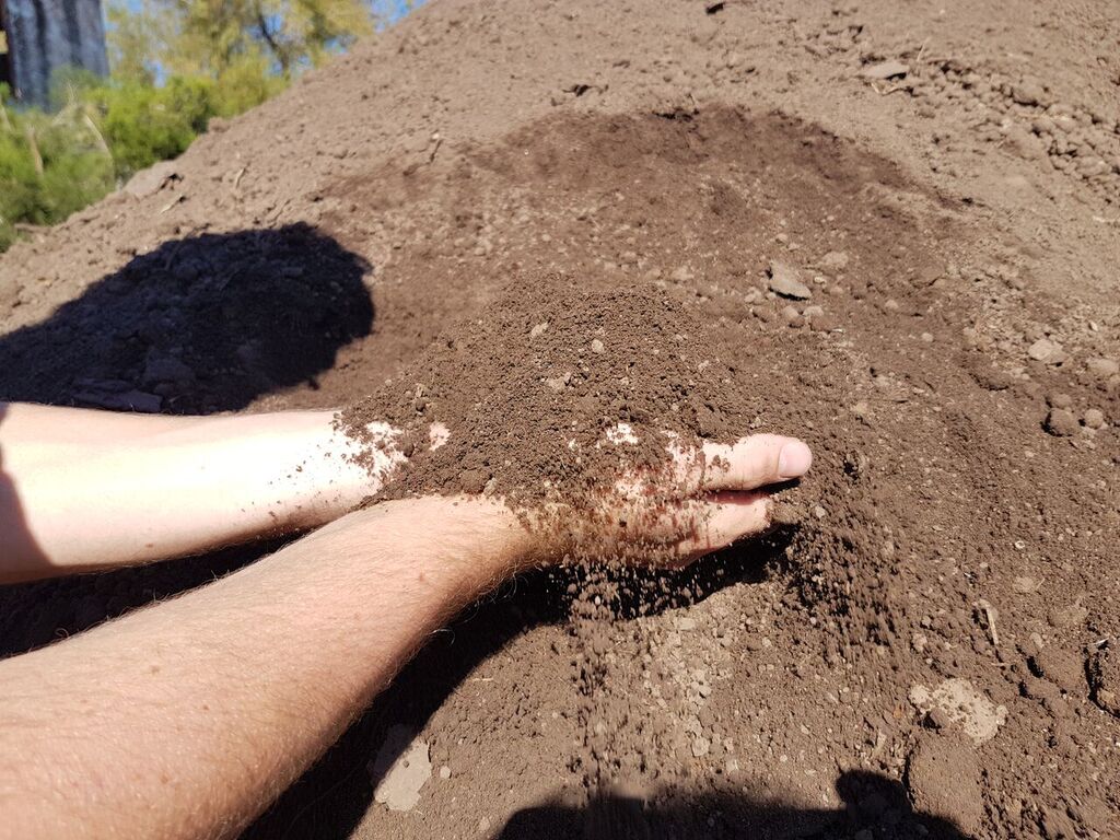 Tierra Negra - foto 2